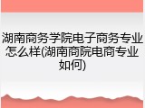 湖南商务学院电子商务专业怎么样(湖南商院电商专业如何)