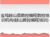 宝鸡岐山县数控编程数控培训机构(岐山数控编程培训)