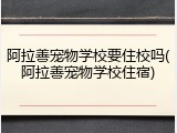 阿拉善宠物学校要住校吗(阿拉善宠物学校住宿)