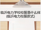 临沂电力学校校服是什么样(临沂电力校服款式)