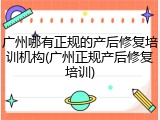 广州哪有正规的产后修复培训机构(广州正规产后修复培训)