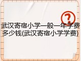 武汉寄宿小学一般一年学费多少钱(武汉寄宿小学学费)