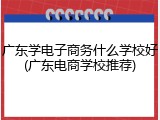 广东学电子商务什么学校好(广东电商学校推荐)