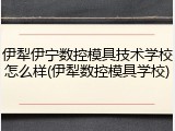伊犁伊宁数控模具技术学校怎么样(伊犁数控模具学校)