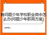 有问题少年学校职业高中怎么办(问题少年职高方案)