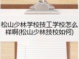 松山少林学校技工学校怎么样啊(松山少林技校如何)