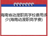 海南省动漫职高学校费用多少(海南动漫职高学费)