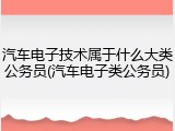 汽车电子技术属于什么大类公务员(汽车电子类公务员)