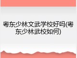 粤东少林文武学校好吗(粤东少林武校如何)