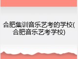 合肥集训音乐艺考的学校(合肥音乐艺考学校)