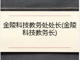 金陵科技教务处处长(金陵科技教务长)