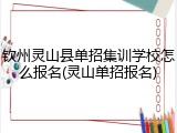 钦州灵山县单招集训学校怎么报名(灵山单招报名)