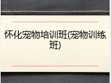 怀化宠物培训班(宠物训练班)