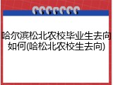 哈尔滨松北农校毕业生去向如何(哈松北农校生去向)