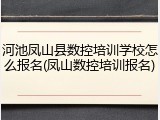 河池凤山县数控培训学校怎么报名(凤山数控培训报名)