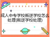成人中专学校叛逆学校怎么处理(叛逆学校处理)