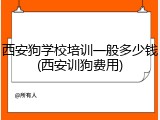 西安狗学校培训一般多少钱(西安训狗费用)