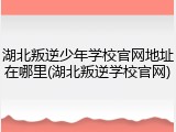 湖北叛逆少年学校官网地址在哪里(湖北叛逆学校官网)