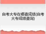 自考大专在哪查成绩(自考大专成绩查询)