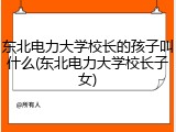 东北电力大学校长的孩子叫什么(东北电力大学校长子女)