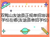双鸭山友谊县正规单招培训学校在哪(友谊县单招学校)