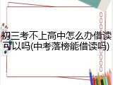 初三考不上高中怎么办借读可以吗(中考落榜能借读吗)