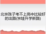 北京孩子考不上高中比较好的出路(京娃升学新路)