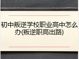 初中叛逆学校职业高中怎么办(叛逆职高出路)