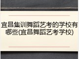 宜昌集训舞蹈艺考的学校有哪些(宜昌舞蹈艺考学校)