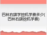 巴林右旗学挖机学费多少(巴林右旗挖机学费)