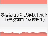 攀枝花电子科技学校职校招生(攀枝花电子职校招生)