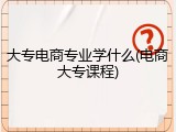 大专电商专业学什么(电商大专课程)