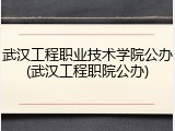 武汉工程职业技术学院公办(武汉工程职院公办)