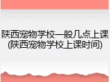 陕西宠物学校一般几点上课(陕西宠物学校上课时间)