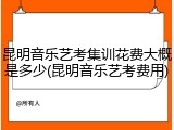 昆明音乐艺考集训花费大概是多少(昆明音乐艺考费用)