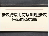 武汉跨境电商培训班(武汉跨境电商培训)