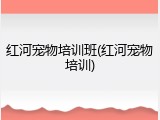 红河宠物培训班(红河宠物培训)