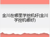 金川在哪里学挖机好(金川学挖机哪好)