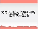 海南集训艺考的培训机构(海南艺考集训)