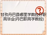 甘孜丹巴县哪里学数控好职高毕业(丹巴职高学数控)