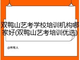 双鸭山艺考学校培训机构哪家好(双鸭山艺考培训优选)