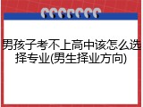 男孩子考不上高中该怎么选择专业(男生择业方向)
