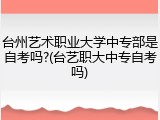 台州艺术职业大学中专部是自考吗?(台艺职大中专自考吗)