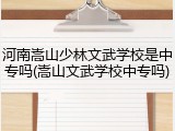 河南嵩山少林文武学校是中专吗(嵩山文武学校中专吗)