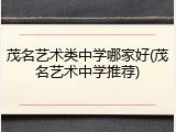 茂名艺术类中学哪家好(茂名艺术中学推荐)