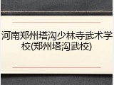 河南郑州塔沟少林寺武术学校(郑州塔沟武校)