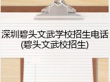 深圳碧头文武学校招生电话(碧头文武校招生)