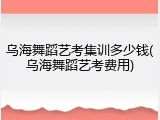 乌海舞蹈艺考集训多少钱(乌海舞蹈艺考费用)