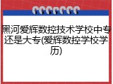 黑河爱辉数控技术学校中专还是大专(爱辉数控学校学历)