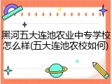 黑河五大连池农业中专学校怎么样(五大连池农校如何)